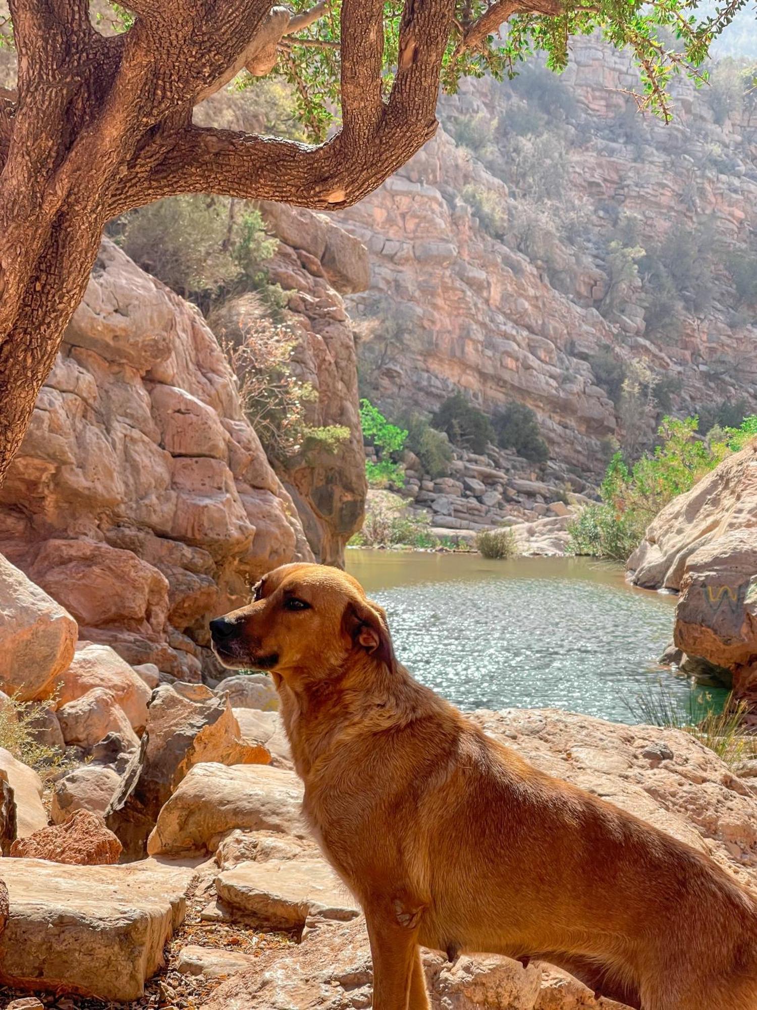 Tifrit Maison D'Hotes-Paradise Valley Imouzzer Ida Ou Tanane ภายนอก รูปภาพ